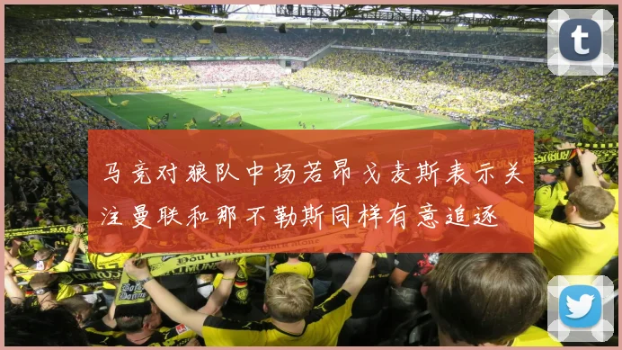 马竞对狼队中场若昂戈麦斯表示关注曼联和那不勒斯同样有意追逐